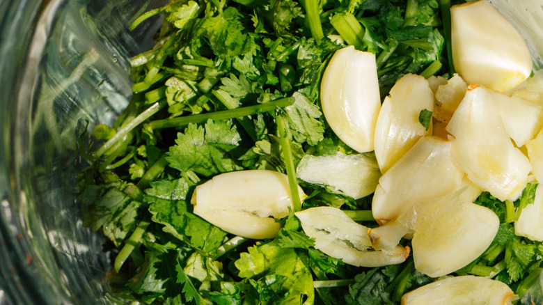 Fesh cilantro and garlic in the blender