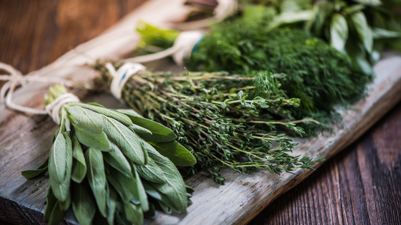 Assorted bunches of fresh herbs on a wood board