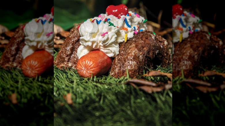 Skat dog shot head-on, on the grass