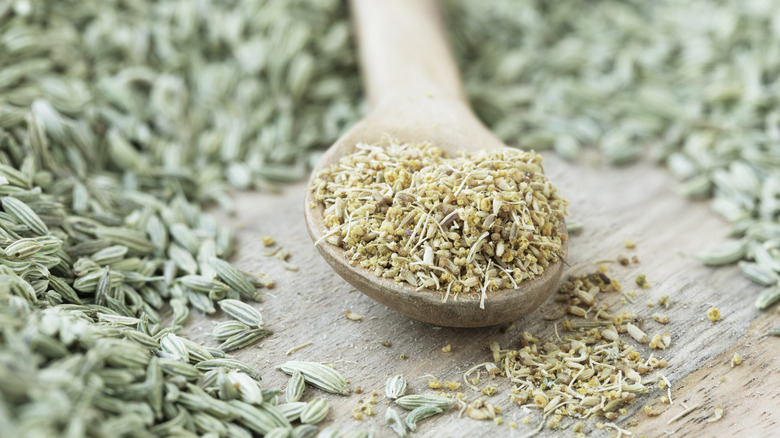 Wooden spoon with fennel pollen surrounded by fennel seeds
