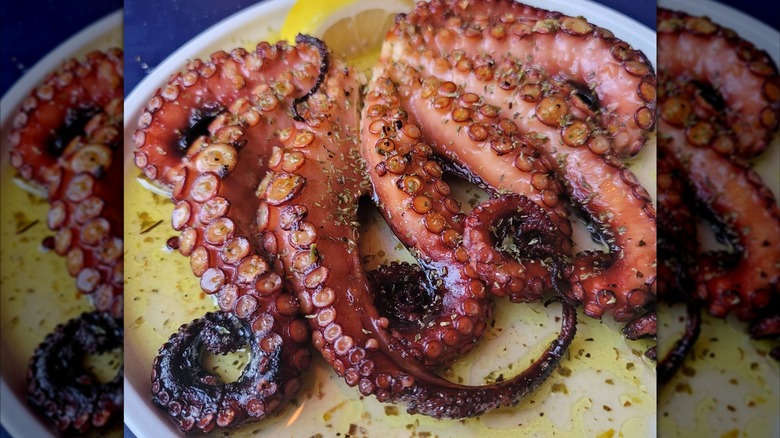 Grilled and seasoned octopus plated for consumption with lemon wedge.