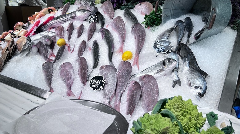 Multiple frozen fish on display next to black price tags at Estiatorio Milos restaurant location