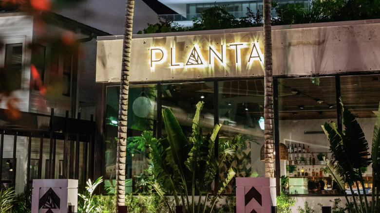 Planta restaurant exterior at night with many tropical green plants