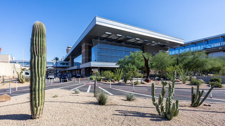 Outside shot of Phoenix Sky Harbor International Airport showing cactus in garden and parking lot