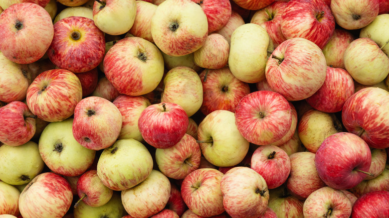 A large collection of apples