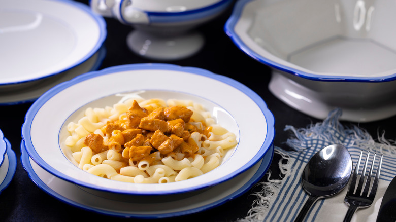 Chicken paprikash over macaroni in a white bowl with a blue rim
