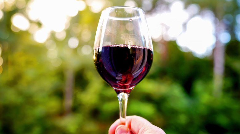 A person holds a glass of red wine in front of green trees and dappled sunlight