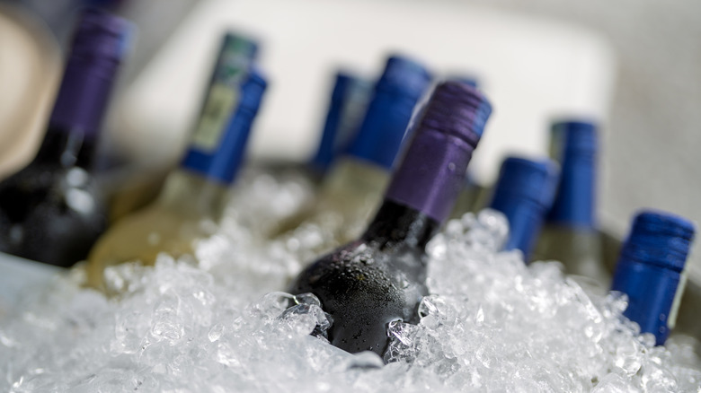 Cold wine bottles with blue and purple labels barely peek out of a bed of crushed ice