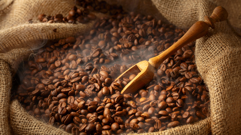 Freshly roasted coffee beans steaming inside a large brown sack