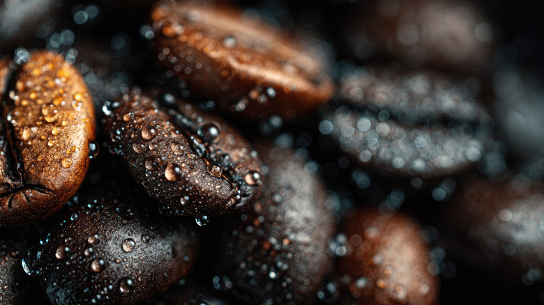 Wet coffee beans piled on top of each other