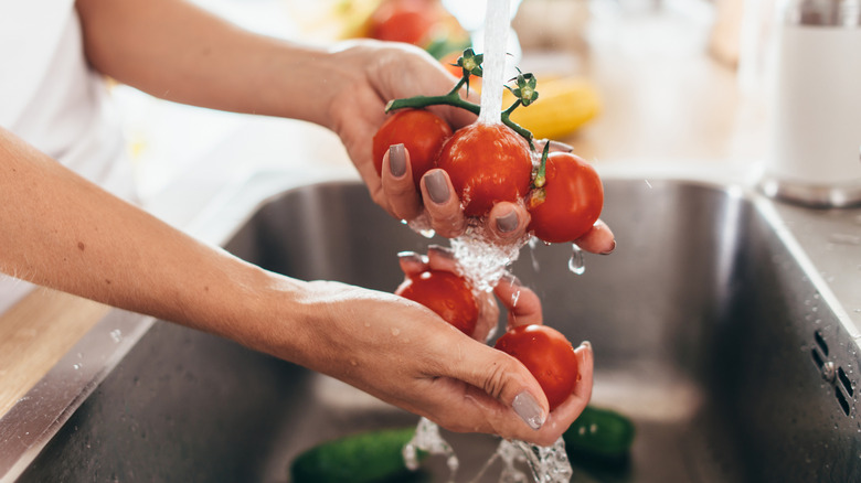 Hands washing tomatoes in sink