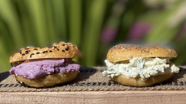 Two bagels with schmears at Tali's Bagels and Schmear