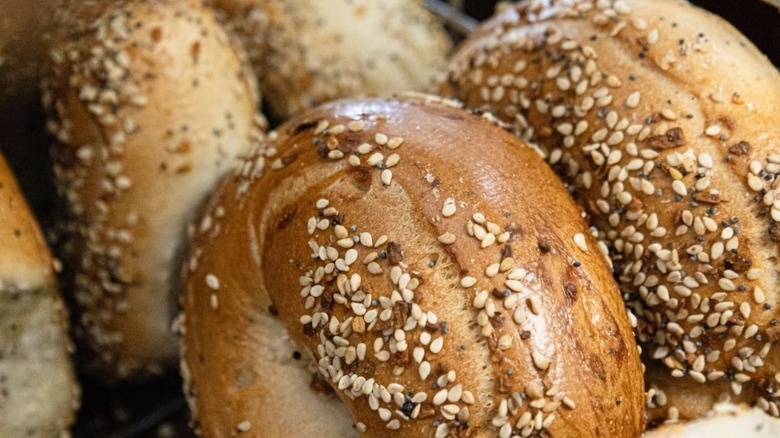 Close up of sesame seed everything bagels in rows at Eastside Bagel cafe