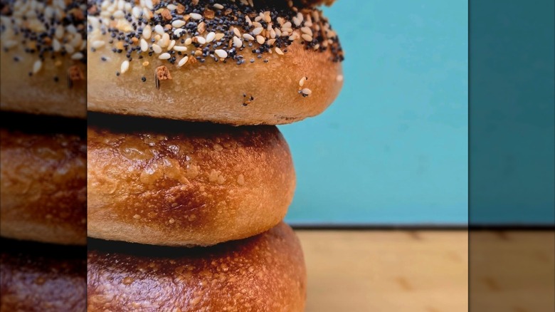 bagel stack of everything bagel and plain bagels at Blackhole Bakery