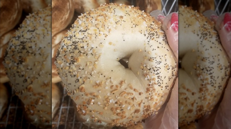 Close up of hand holding an everything bagel from Hudah Babylon Bagel and Restaurant