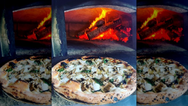 A Tru Pizza pizza with wood fire oven in background