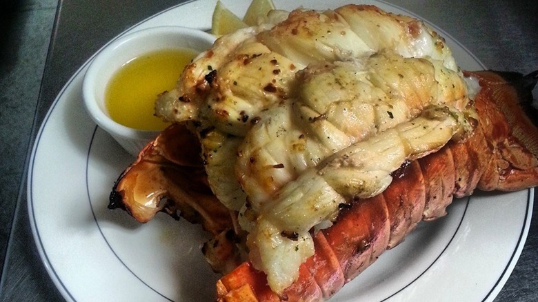 Fiori Lobster served with side of melted butter from Fiori D'Italia restaurant in Alaska.