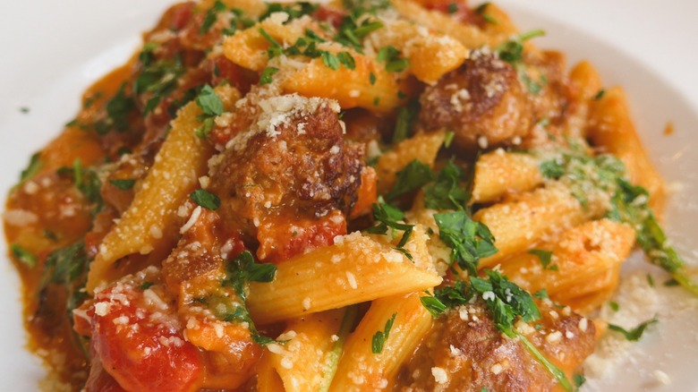 Close up of penne with Lamb Sausage dish sprinkled with parmesan from Andiamo restaurant in New Mexico