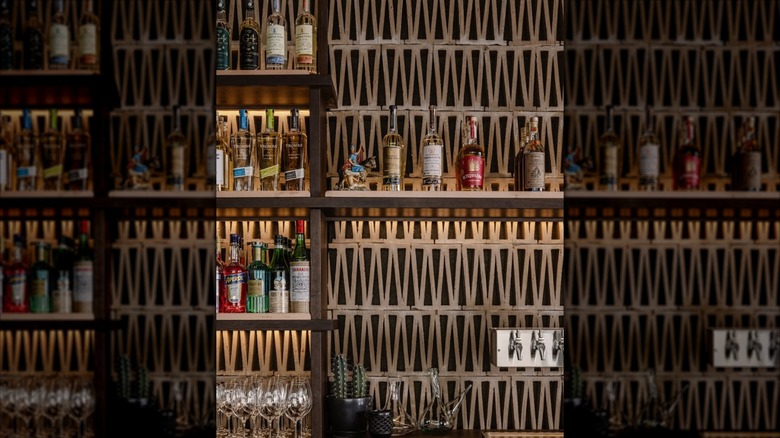 The bar at Vecino, featuring open shelving and breeze blocks