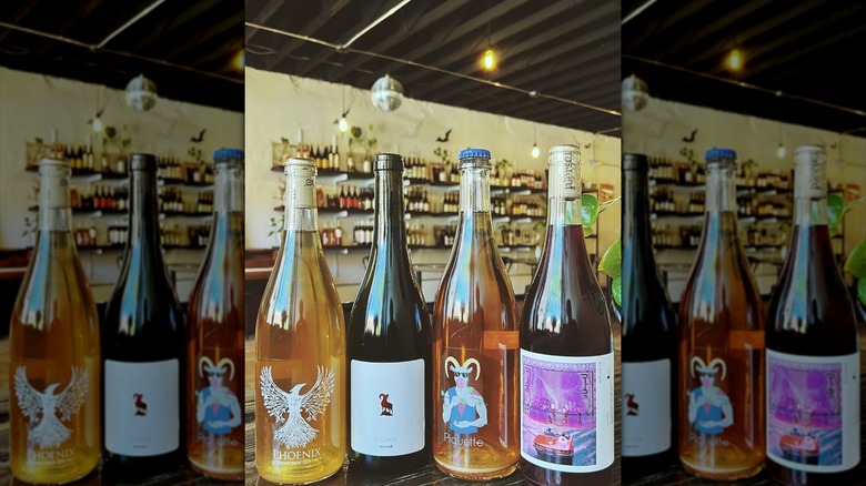 Bottles of wine sitting on a bar with shelves of wine in the background at The Cave DSM