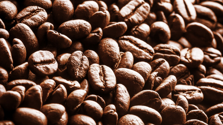 close up of coffee beans.