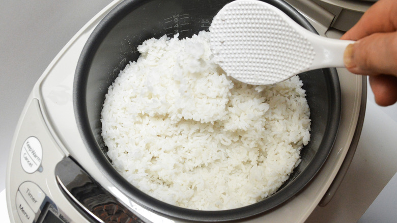 Scooping rice out of a rice cooker.
