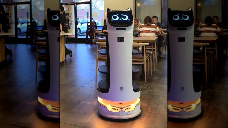 The Sizzling House cat robot server approaches a table