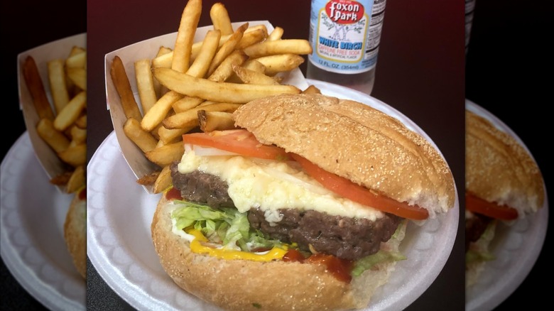 Steamed cheeseburger on a plastic plate with fries