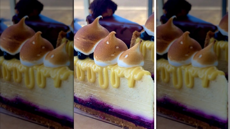 Laika Cheesecake & Espresso Picnic in Space cheesecake