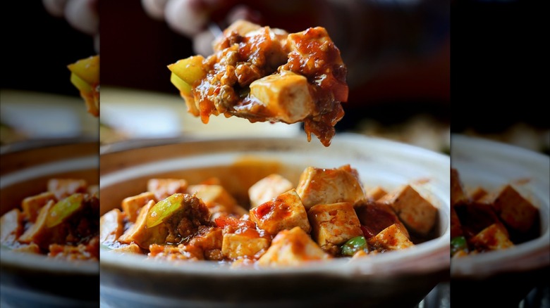 Homestyle Tofu with fried tofu, Chinese leek, garlic, and chili bean paste.