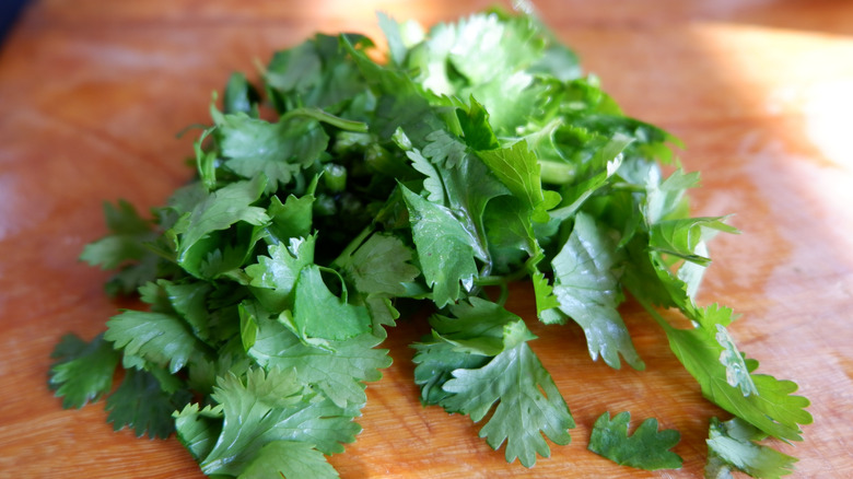 Fesh cilantro on a wooden surface