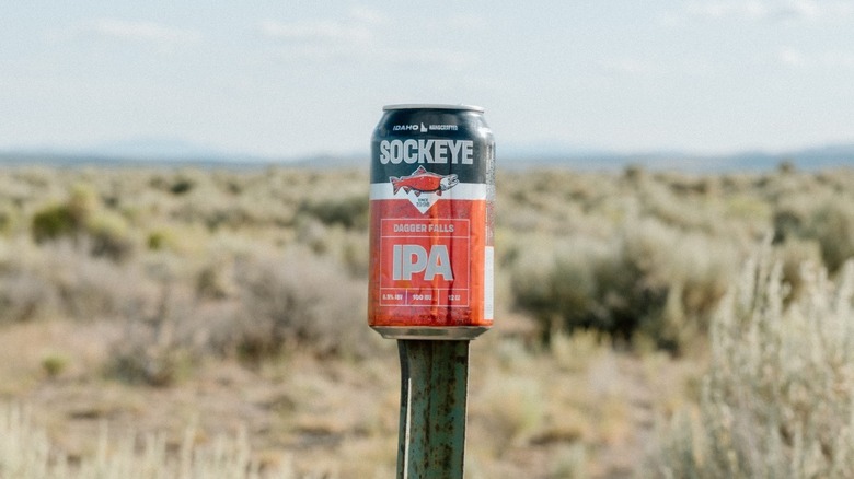 Dagger Falls IPA on iron spike