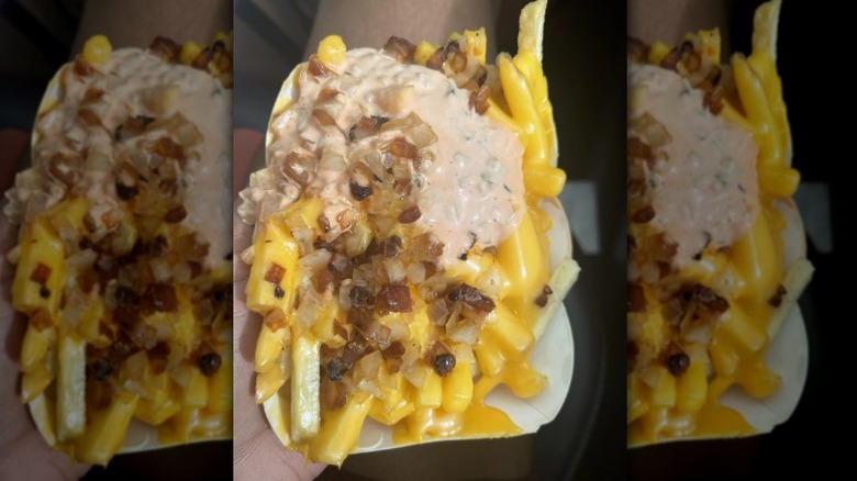 Someone holding a container of Animal Style Fries from In-N-Out