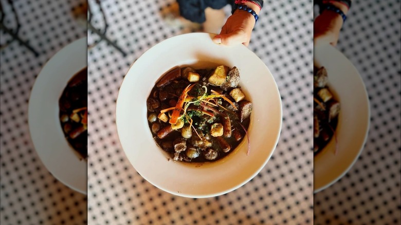 Boeuf bourguignon held above checkered floor
