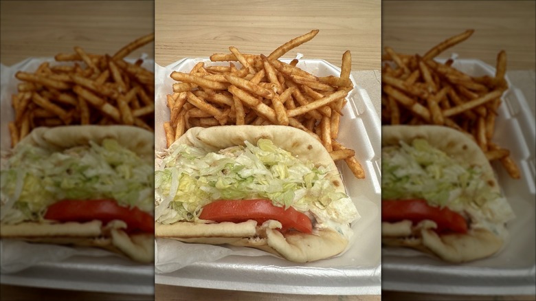 Chicken gyro and French fries meal from Renzios Greek Food