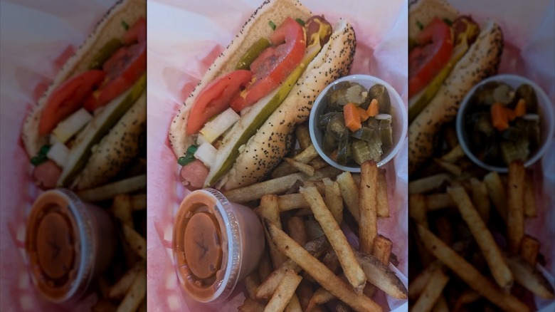 Chicago dog and fries from Mustard's Last Stand