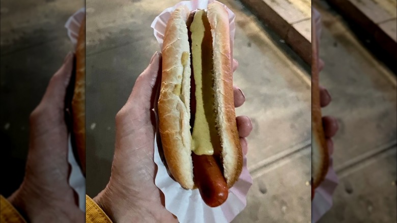 hand holding dog with mustard from Gray's Papaya