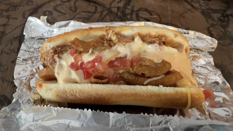 loaded and dressed hot dog at Hillbilly Hot Dogs in West Virginia