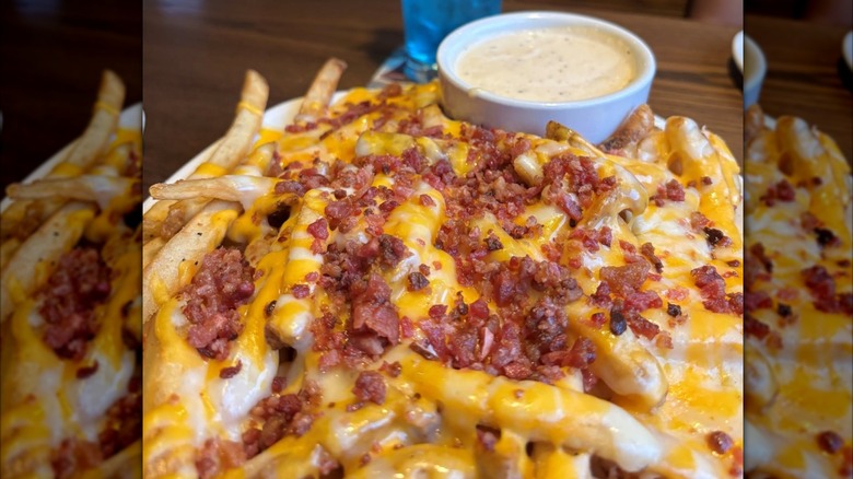 Outback cheese fries with a dip