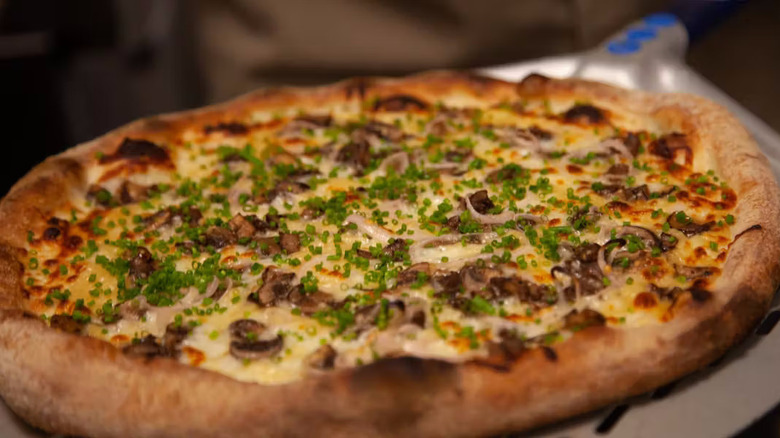 Close up of white sauce pizza with mushrooms