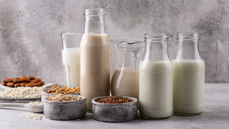 Assorted bottles of plant-based milks and small bowls of grains and nuts