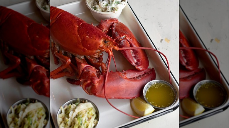 Whole lobster on baking dish with condiments and melted butter
