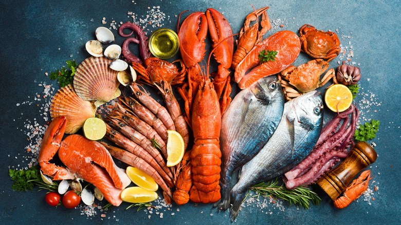 Seafood laid out over a dark blue background