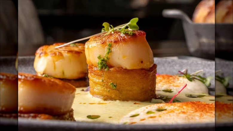 Scallops on top of a pastry