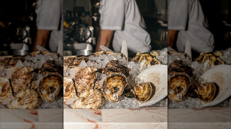 Oysters resting in ice