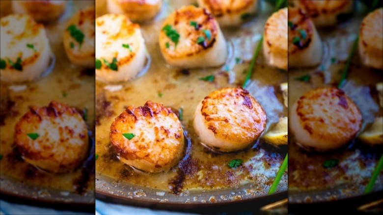 Pan searing scallops in a oily pan