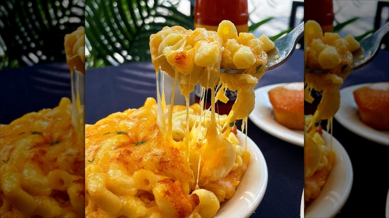 Sylvia's Restaurant macaroni and cheese on fork