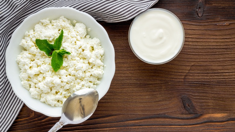 White bowl with cottage cheese and sprig of dill on top