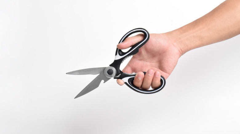 A hand holding kitchen shears.