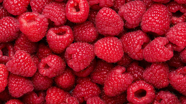 A close up photo of beautifully clean, vibrant raspberries